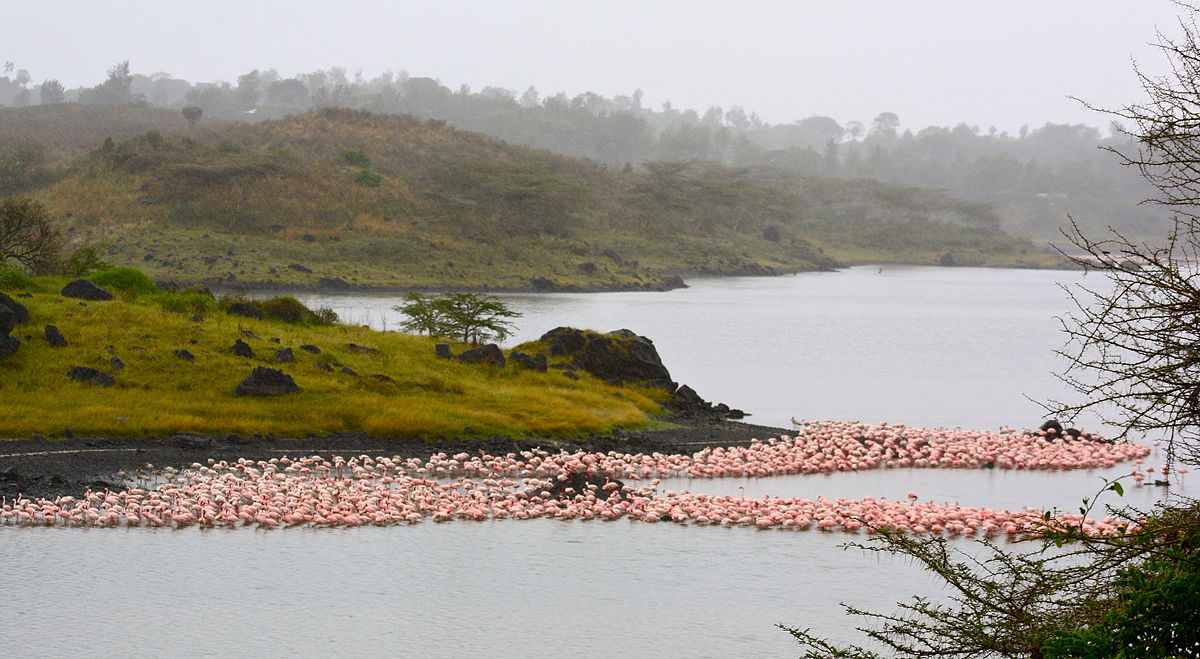 Arusha National Park