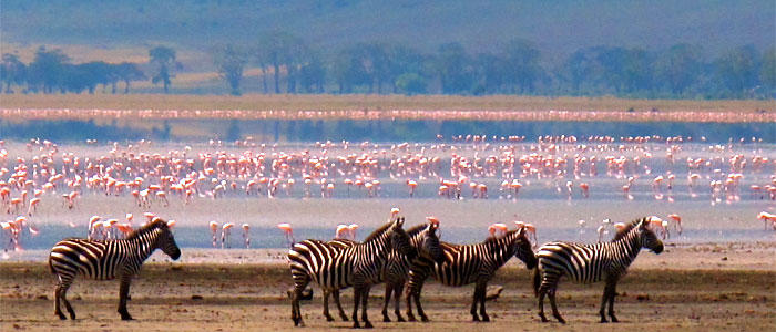 Lake Manyara National Park