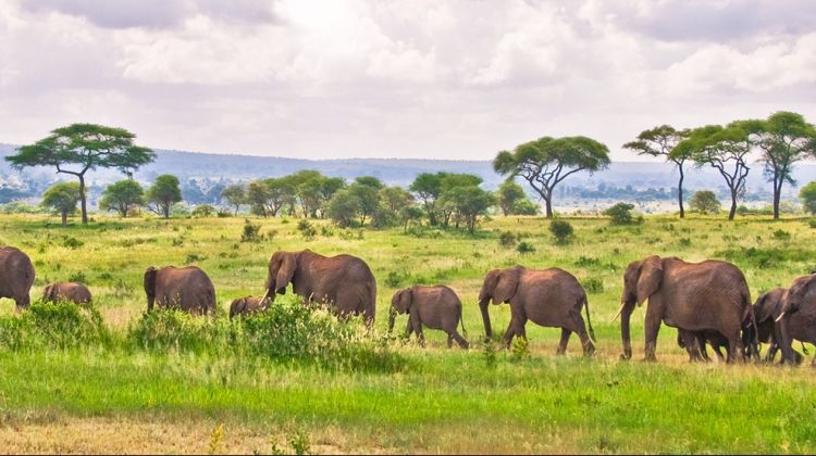 Ngorongoro Creater